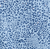Blue Animal / 1X