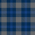 Blue/Blue Check / S