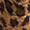 Natural Leopard / S
